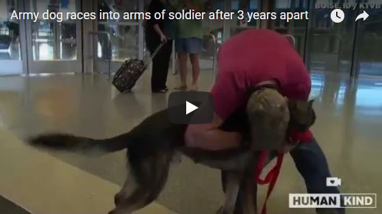 Army Dog Races To Soldier After 3 yrs Apart Video