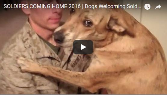 SOLDIERS - Dogs Welcoming Soldiers - RESPECT Video